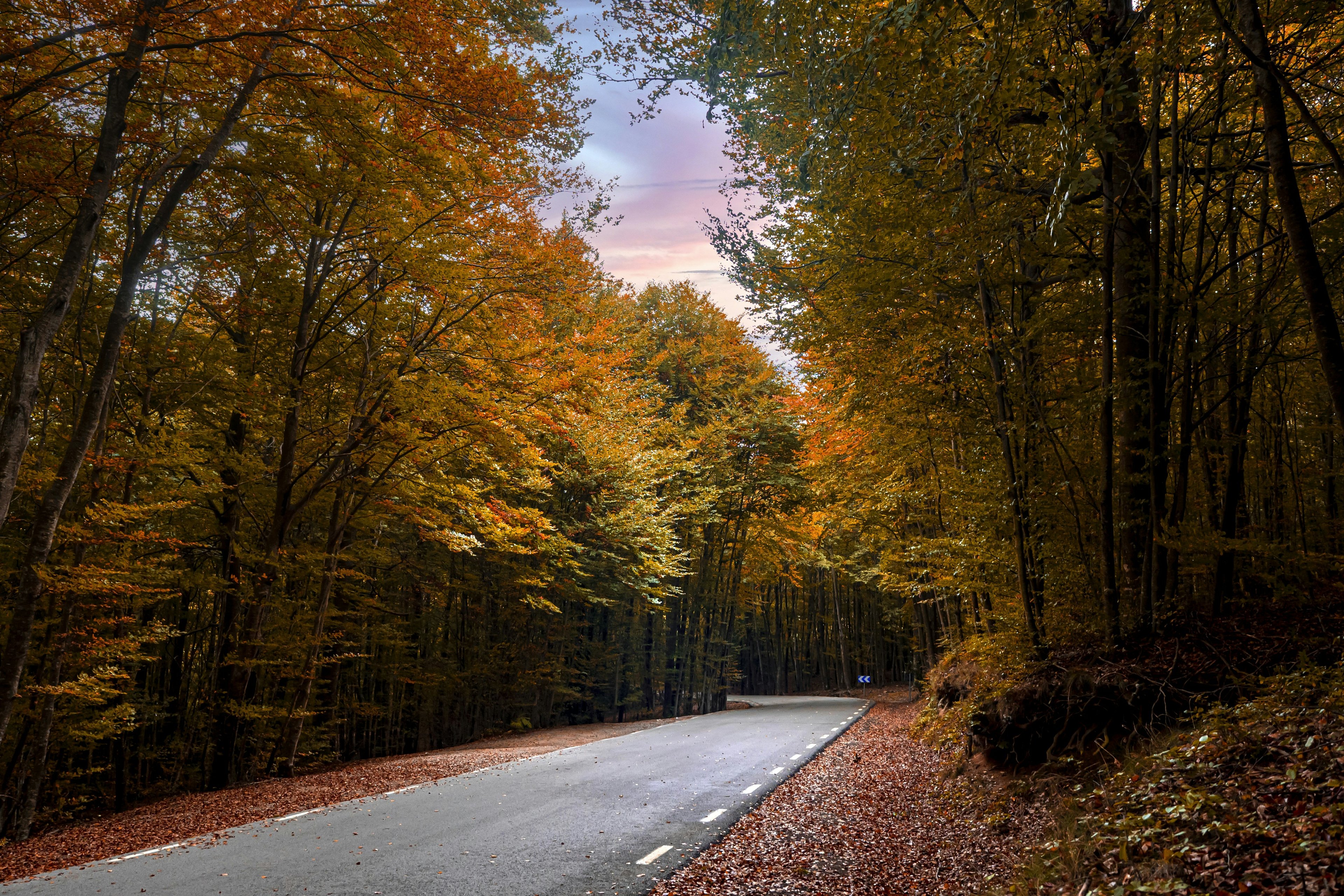 Scenic road through autumn forest with colorful fall foliage