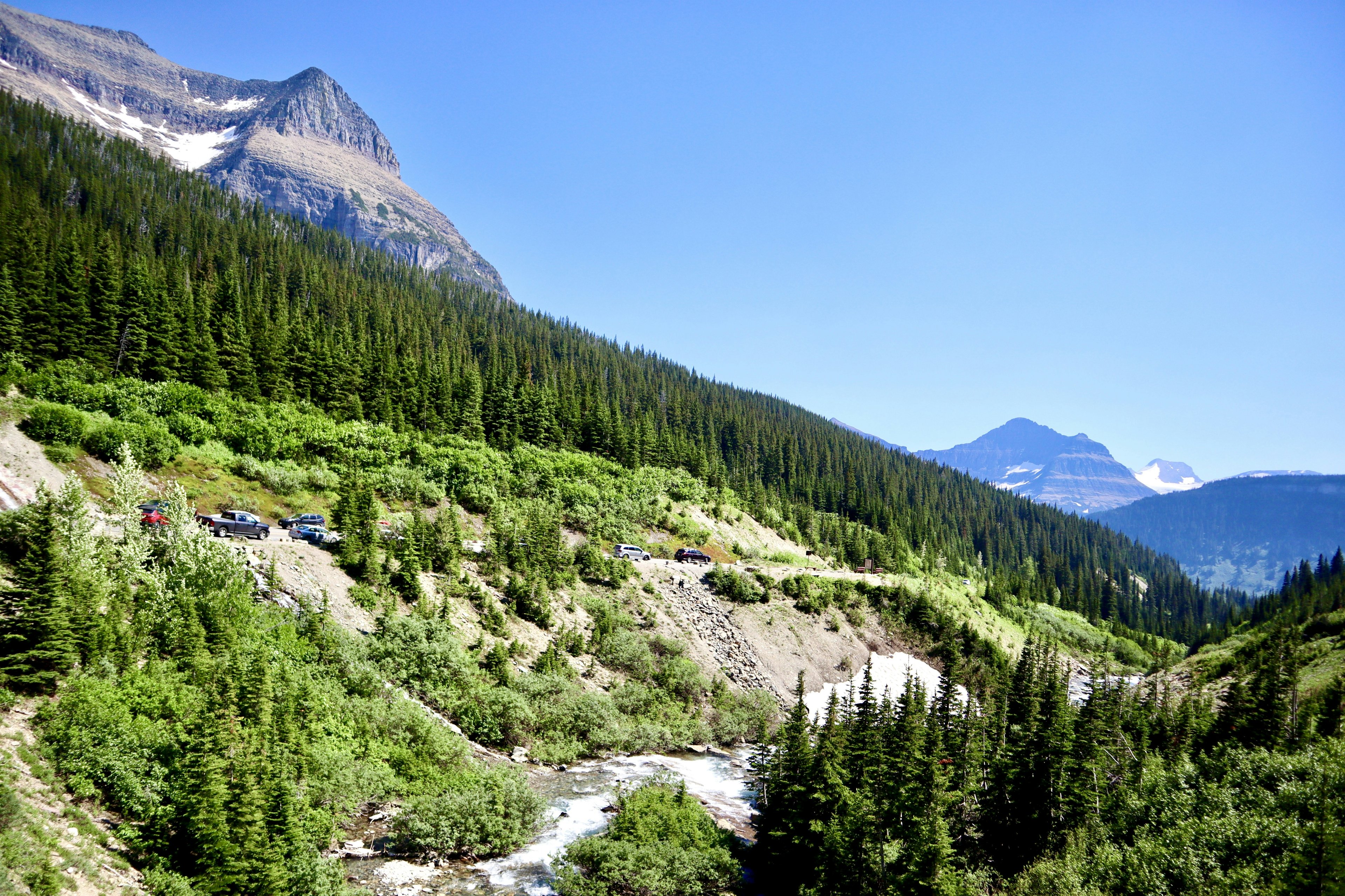 Group of cars cruising down a scenic road on a sunny day